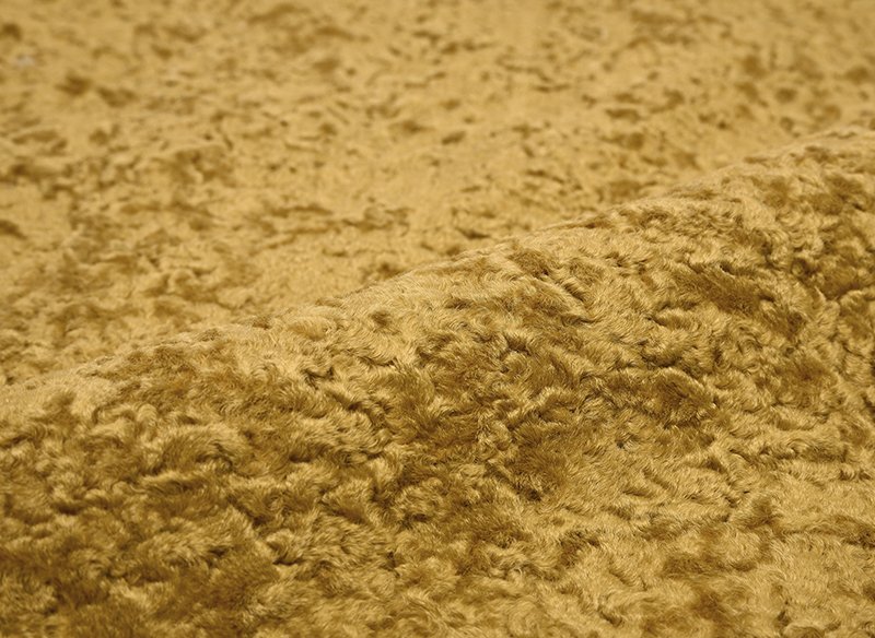 detail-golden-moss